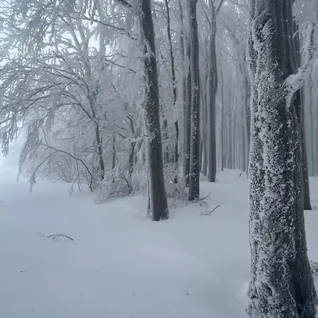 Ubytko U Karla 度假居 Nový Hrozenkov