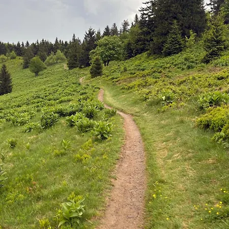 Ubytko U Karla 度假居 *