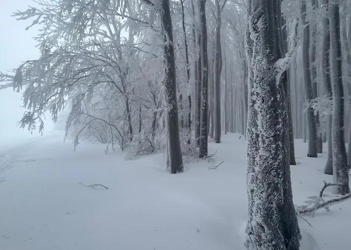 Ubytko U Karla Feriehus Nový Hrozenkov