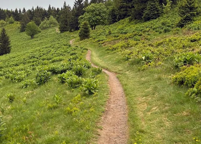 Ubytko U Karla Feriehus *